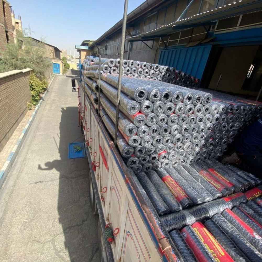 1763619435703.webp 1763619435703.webp